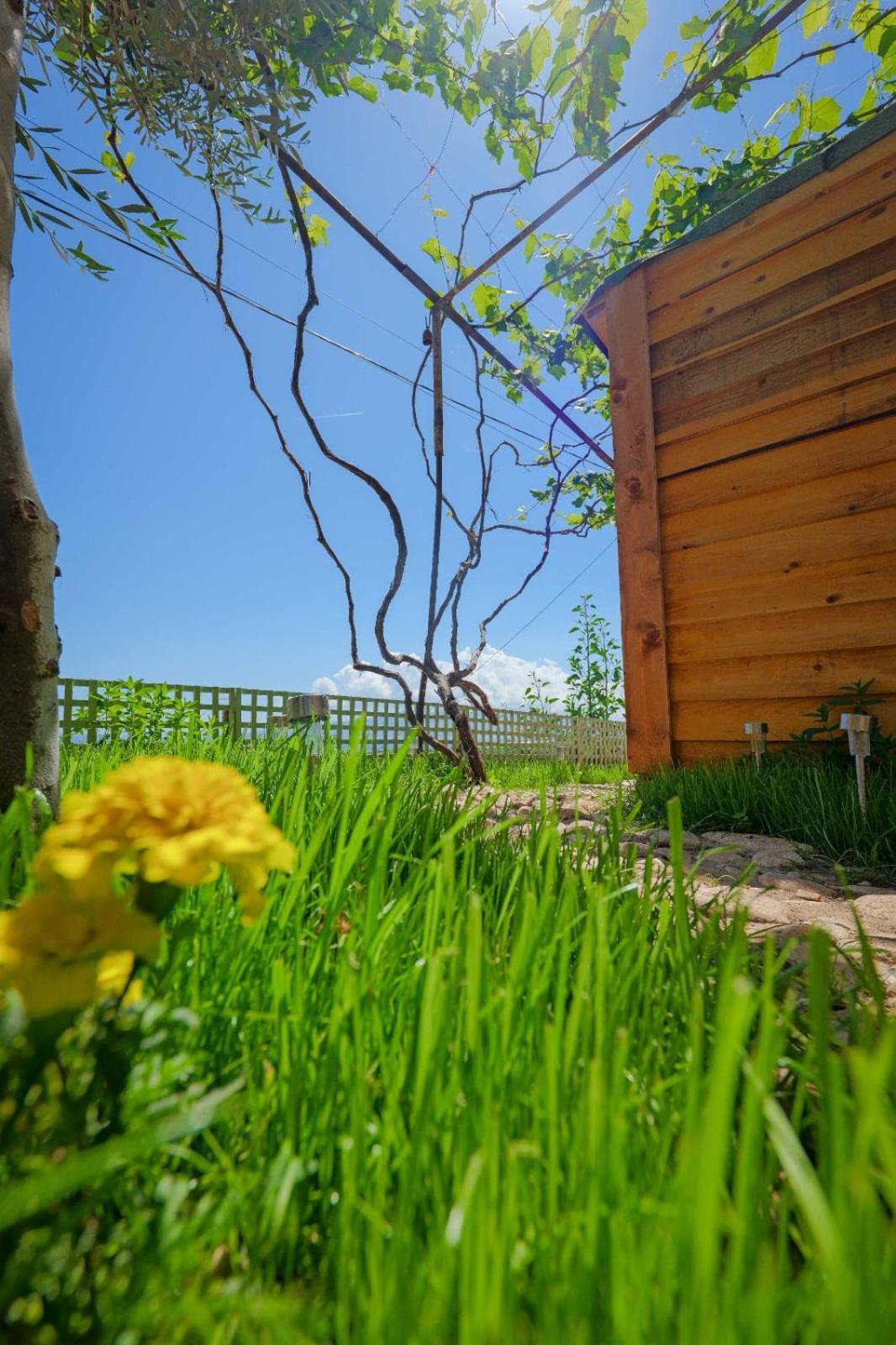 Vila Fjona Sarandë Esterno foto